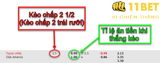 11BET Kèo chấp 2 1/2 trái là gì? Tip cá độ kèo chấp 2 trái rưỡi thắng lớn nhất